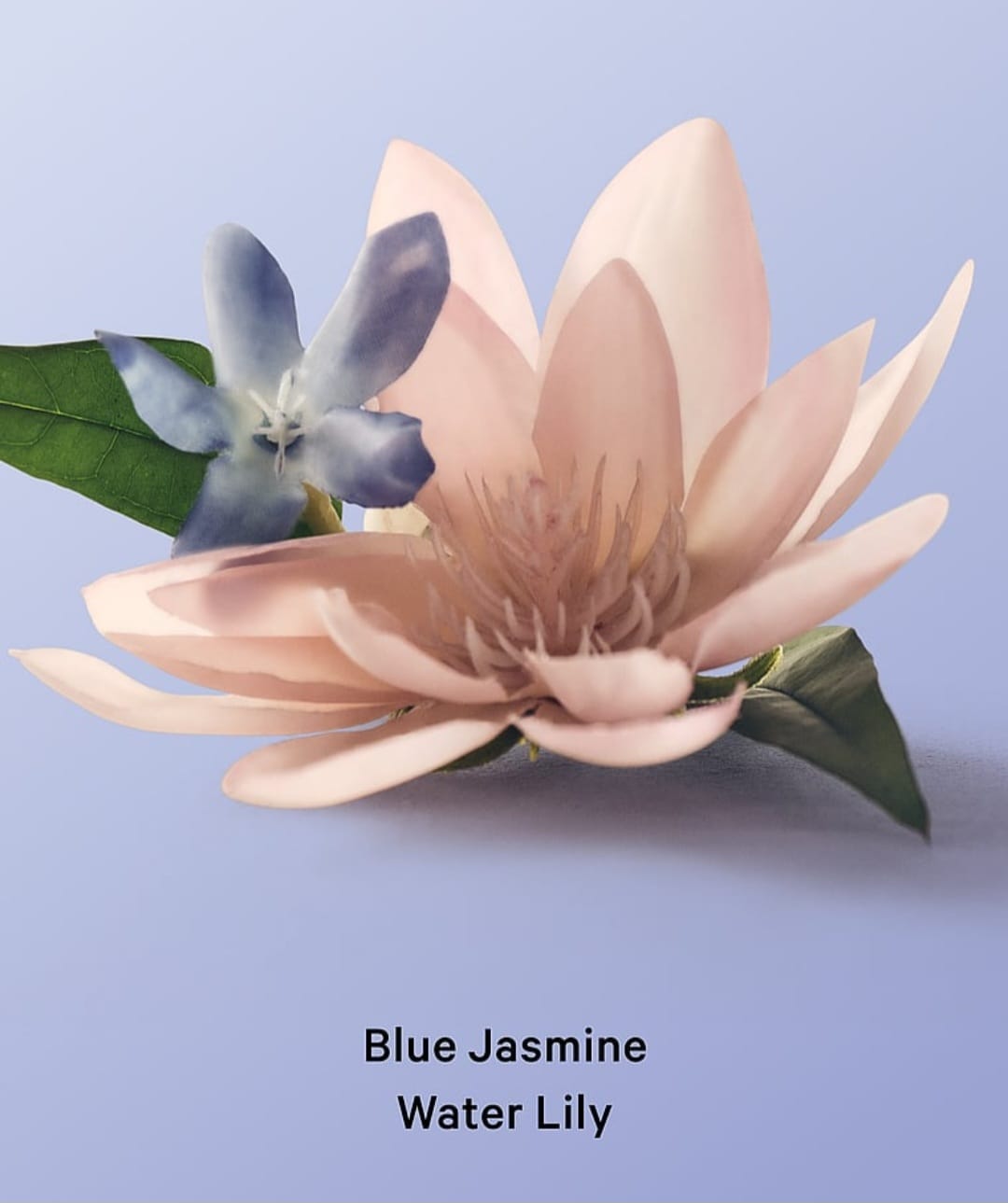 Victoria's Secret set Blue Jasmine Water Lily