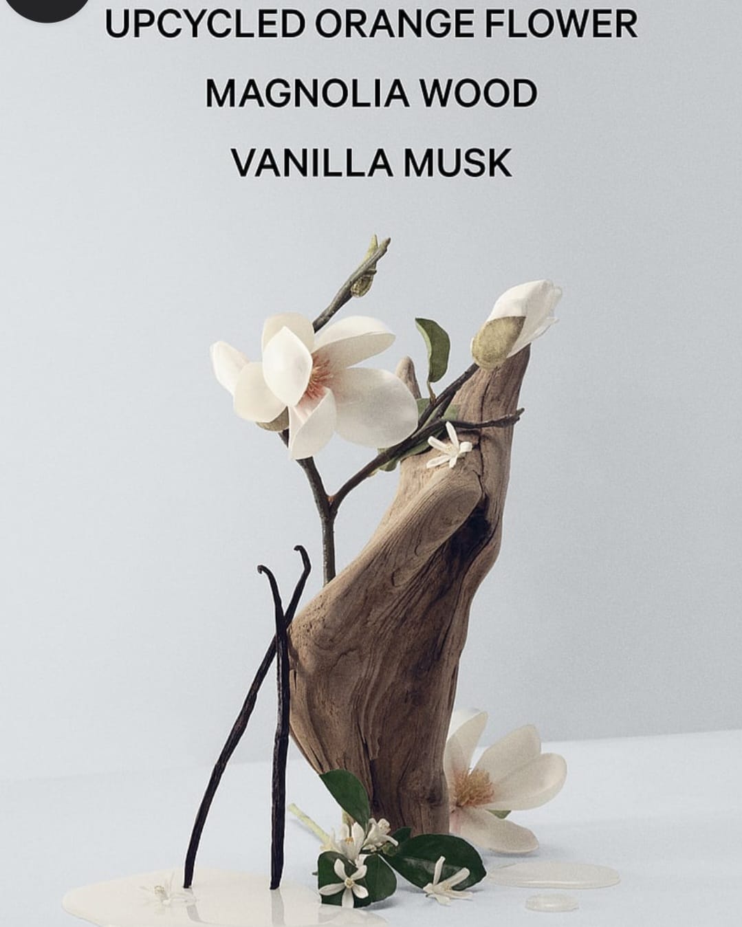 Bare Magnolia Eau de Parfum 100ml