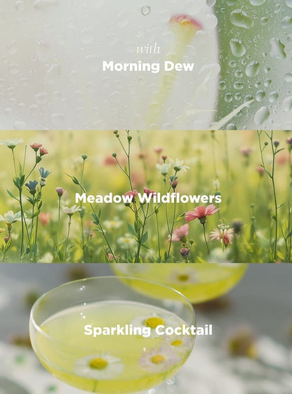 Scented room spray | Spray d’ambiente parfumé Petalrich